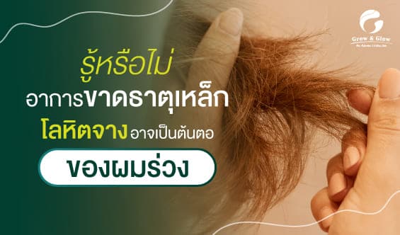 อาการขาดธาตุเหล็ก โลหิตจาง ต้นเหตุผมร่วงที่หลายคนไม่รู้ตัว !