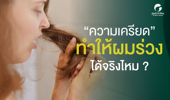 ผมร่วงจากความเครียด เกิดจากอะไร เจาะลึกกลไกฮอร์โมนและวิธีแก้