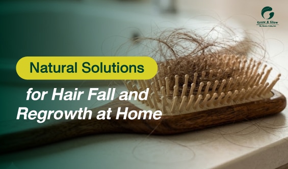 Natural Solutions for Hair Fall and Regrowth to Try at Home